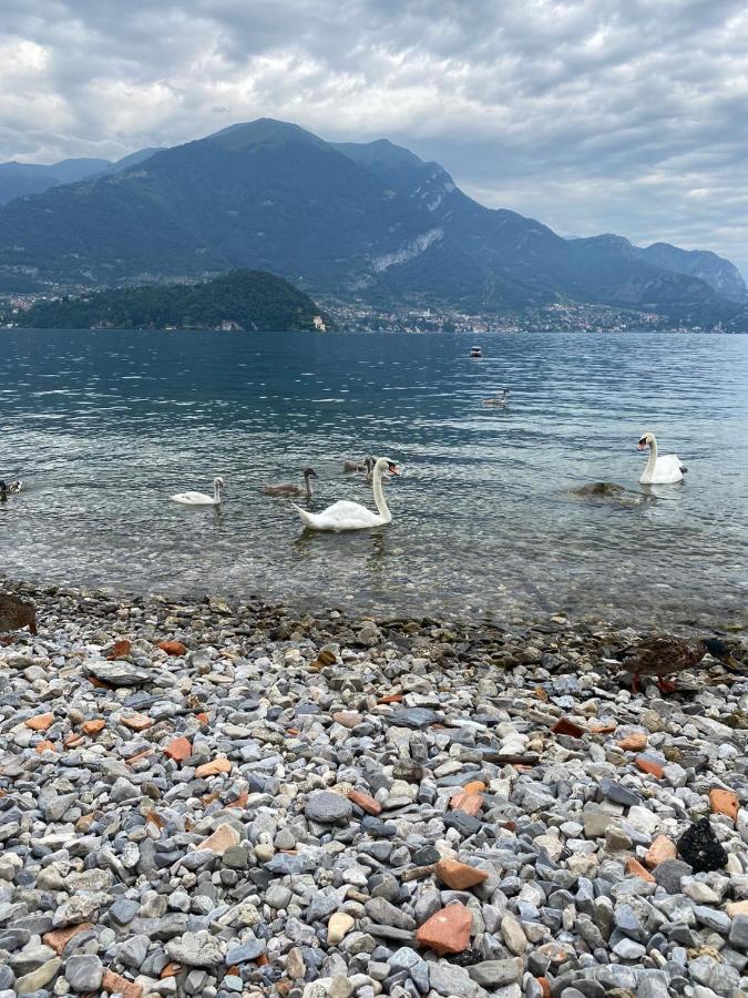 Lake House Near Bellagio Villa Lezzeno Exterior photo
